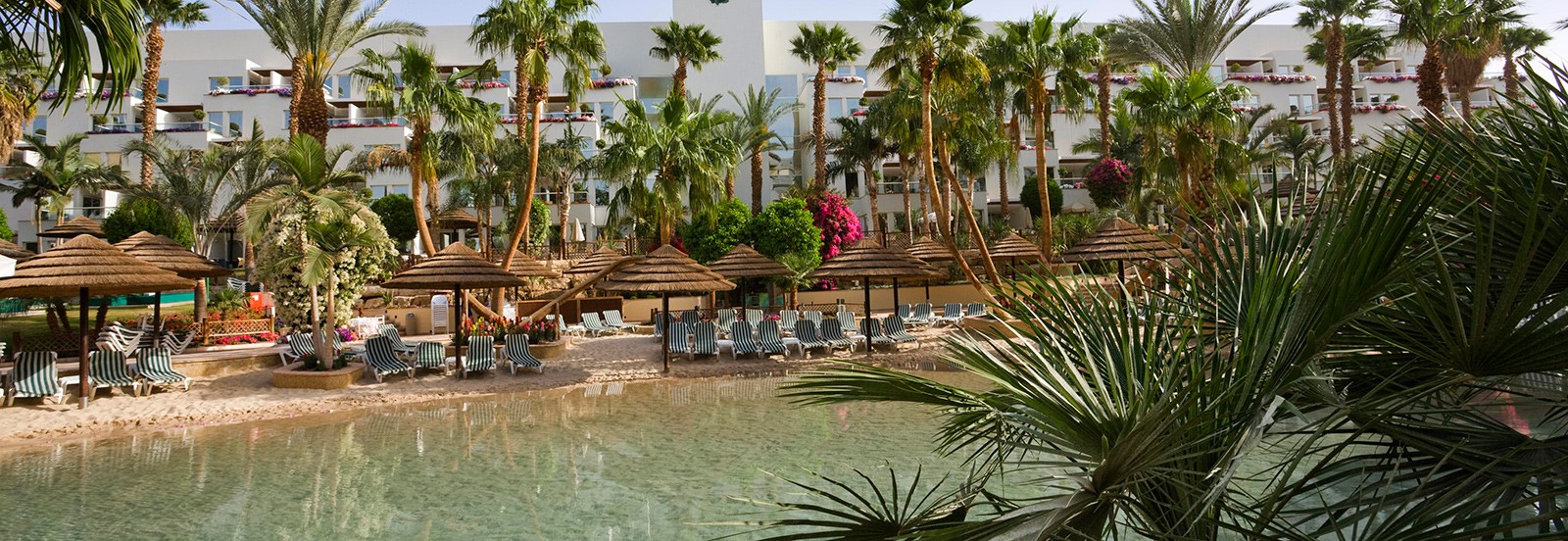 פאזה מורגנה בישרוטל רויאל גארדן