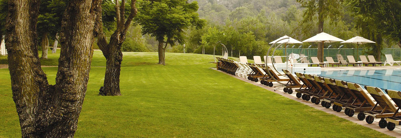 תרשו לעצמכם חופשה שלווה ביערות הכרמל