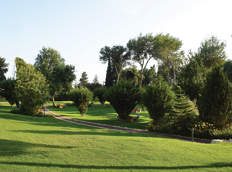 Carmel Forest Spa Resort Isrotel Hotels