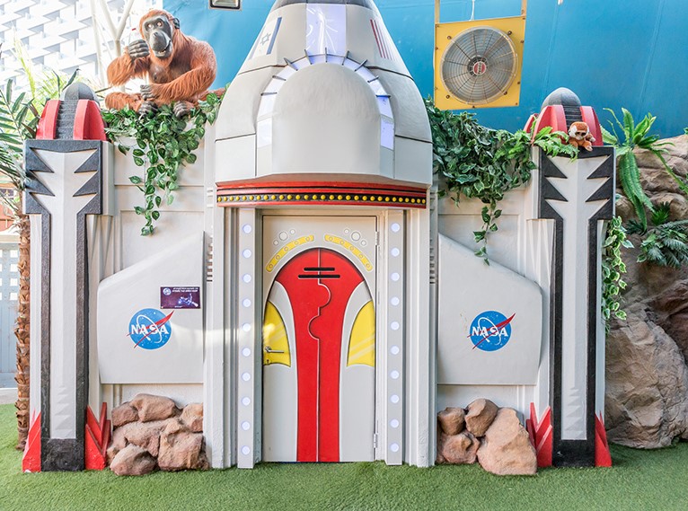 'ממלכת הילדים'