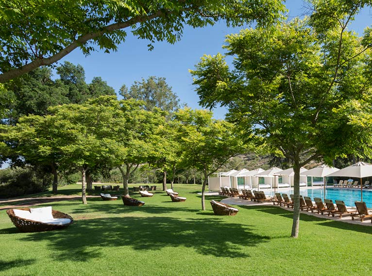 Carmel Forest Spa Resort